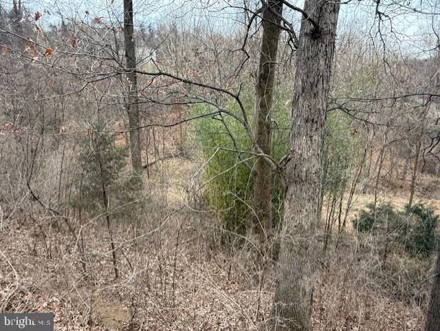 521 NORTHERN SPY DR, LINDEN, Virginia 22642, 4 Bedrooms Bedrooms, ,3 BathroomsBathrooms,Residential,For sale,521 NORTHERN SPY DR,VAWR2013058 MLS # VAWR2013058