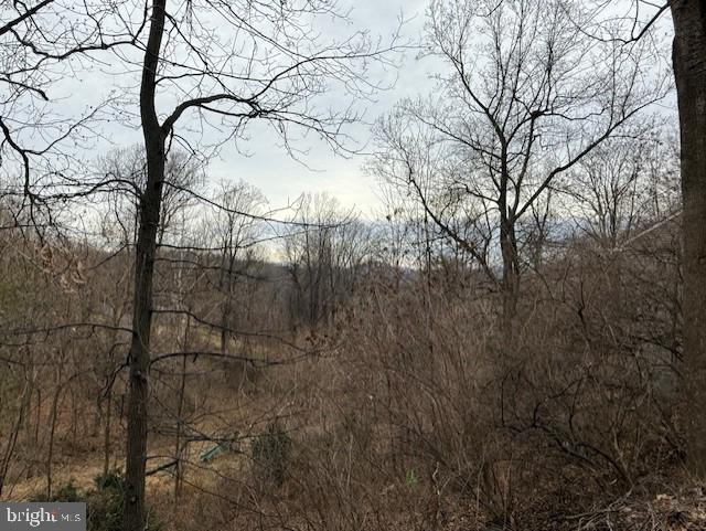 521 NORTHERN SPY DR, LINDEN, Virginia 22642, 4 Bedrooms Bedrooms, ,3 BathroomsBathrooms,Residential,For sale,521 NORTHERN SPY DR,VAWR2013058 MLS # VAWR2013058