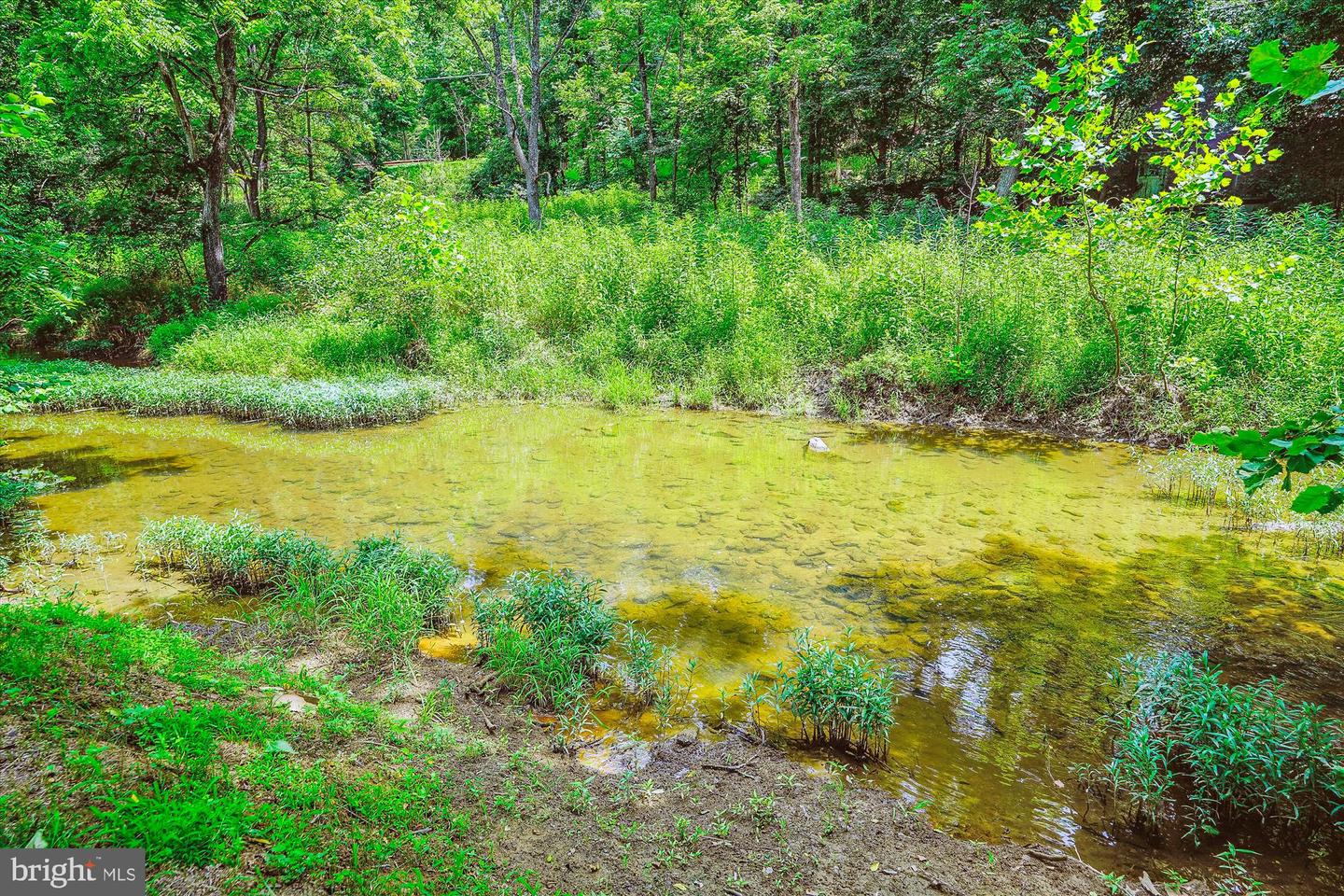 36155 CHAMBLIN MILL LN, PURCELLVILLE, Virginia 20132, 4 Bedrooms Bedrooms, 14 Rooms Rooms,3 BathroomsBathrooms,Residential,For sale,36155 CHAMBLIN MILL LN,VALO2099776 MLS # VALO2099776 36155 CHAMBLIN MILL LN, PURCELLVILLE, Virginia 20132, 4 Bedrooms Bedrooms, 14 Rooms Rooms,3 BathroomsBathrooms,Residential,For sale,36155 CHAMBLIN MILL LN,VALO2099776 MLS # VALO2099776