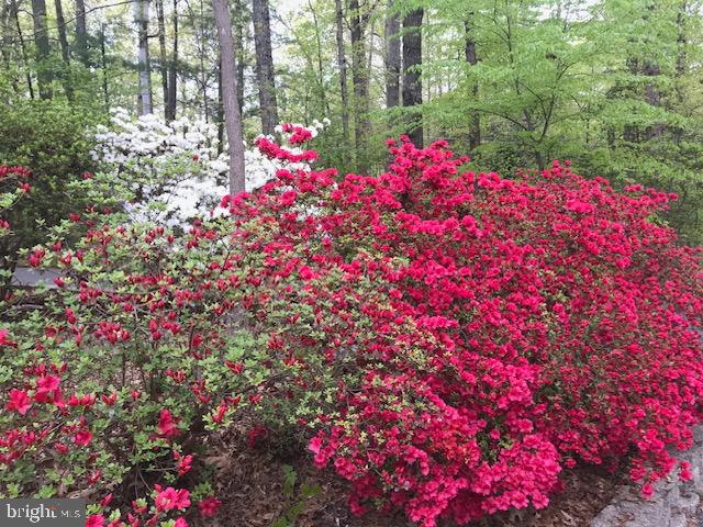 13750 ENSENADA CT, MANASSAS, Virginia 20112, 4 Bedrooms Bedrooms, ,3 BathroomsBathrooms,Residential,For sale,13750 ENSENADA CT,VAPW2103764 MLS # VAPW2103764