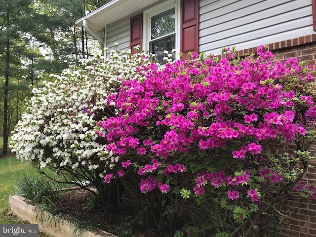 13750 ENSENADA CT, MANASSAS, Virginia 20112, 4 Bedrooms Bedrooms, ,3 BathroomsBathrooms,Residential,For sale,13750 ENSENADA CT,VAPW2103764 MLS # VAPW2103764