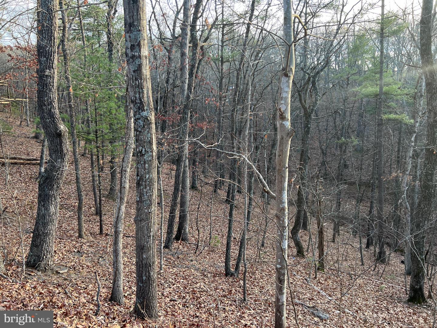 0 STRATON, BASYE, Virginia 22810, ,Land,For sale,0 STRATON,VASH2013140 MLS # VASH2013140