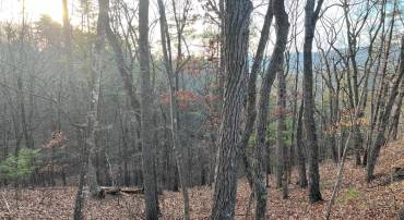 0 STRATON, BASYE, Virginia 22810, ,Land,For sale,0 STRATON,VASH2013140 MLS # VASH2013140