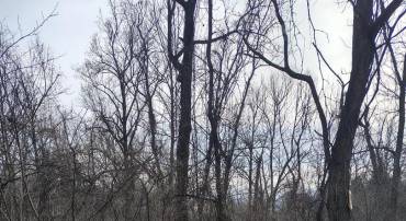 SUMMIT POINT DR, FRONT ROYAL, Virginia 22630, ,Land,For sale,SUMMIT POINT DR,VAWR2013062 MLS # VAWR2013062