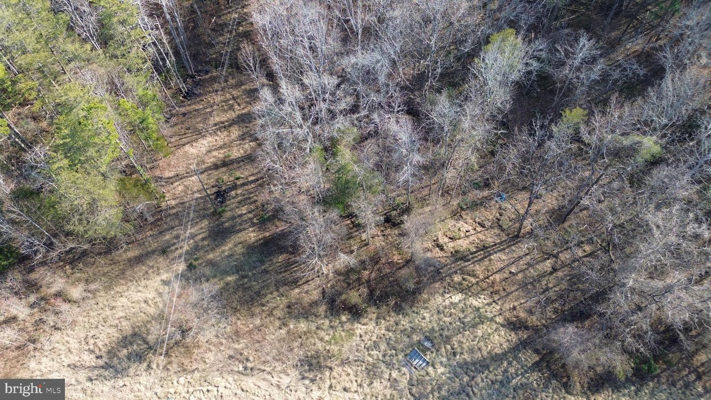 LOUISA, Virginia 23093, ,Land,For sale,VALA2009104 MLS # VALA2009104 LOUISA, Virginia 23093, ,Land,For sale,VALA2009104 MLS # VALA2009104