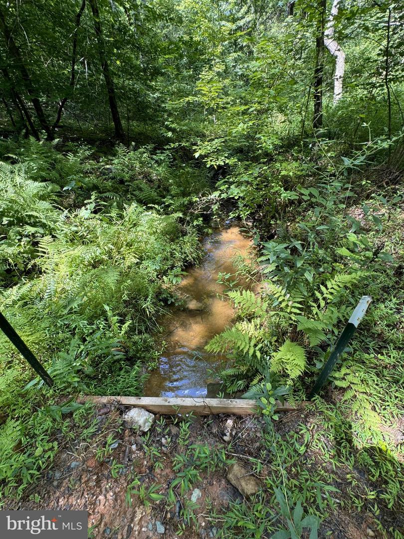 LOUISA, Virginia 23093, ,Land,For sale,VALA2009104 MLS # VALA2009104 LOUISA, Virginia 23093, ,Land,For sale,VALA2009104 MLS # VALA2009104