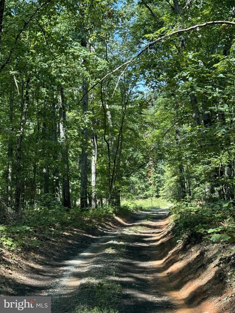 LOUISA, Virginia 23093, ,Land,For sale,VALA2009104 MLS # VALA2009104 LOUISA, Virginia 23093, ,Land,For sale,VALA2009104 MLS # VALA2009104