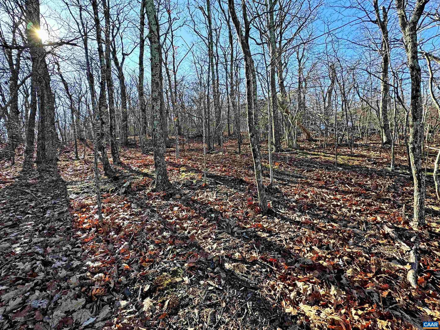 82 PEDLARS EDGE DR, WINTERGREEN RESORT, Virginia 22967, ,Land,For sale,82 PEDLARS EDGE DR,672247 MLS # 672247 82 PEDLARS EDGE DR, WINTERGREEN RESORT, Virginia 22967, ,Land,For sale,82 PEDLARS EDGE DR,672247 MLS # 672247