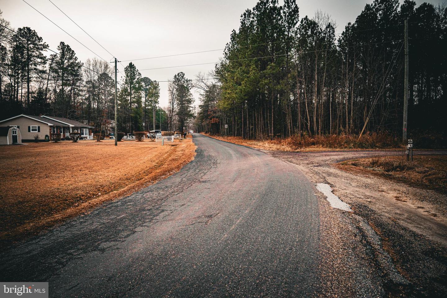 TBD PARRISH LANE, COLONIAL BEACH, Virginia 22443, ,Land,For sale,TBD PARRISH LANE,VAWE2010336 MLS # VAWE2010336