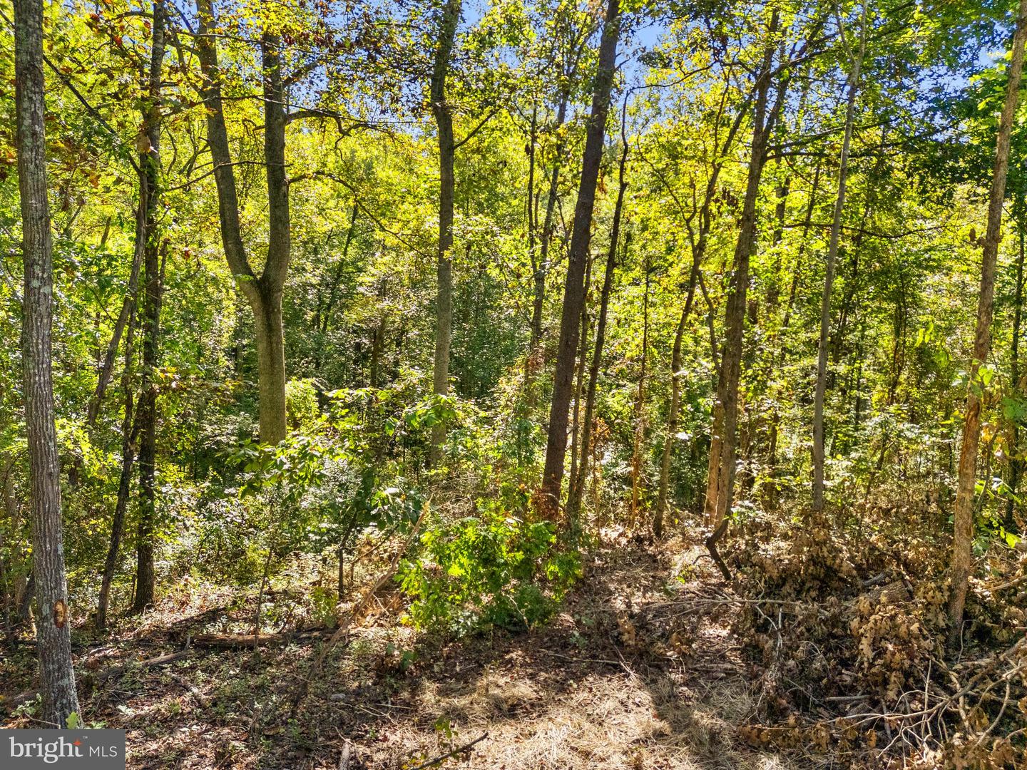 VACANT LAND CABIN BRANCH ROAD, MARSHALL, Virginia 20115, ,Land,For sale,VACANT LAND CABIN BRANCH ROAD,VAFQ2020062 MLS # VAFQ2020062