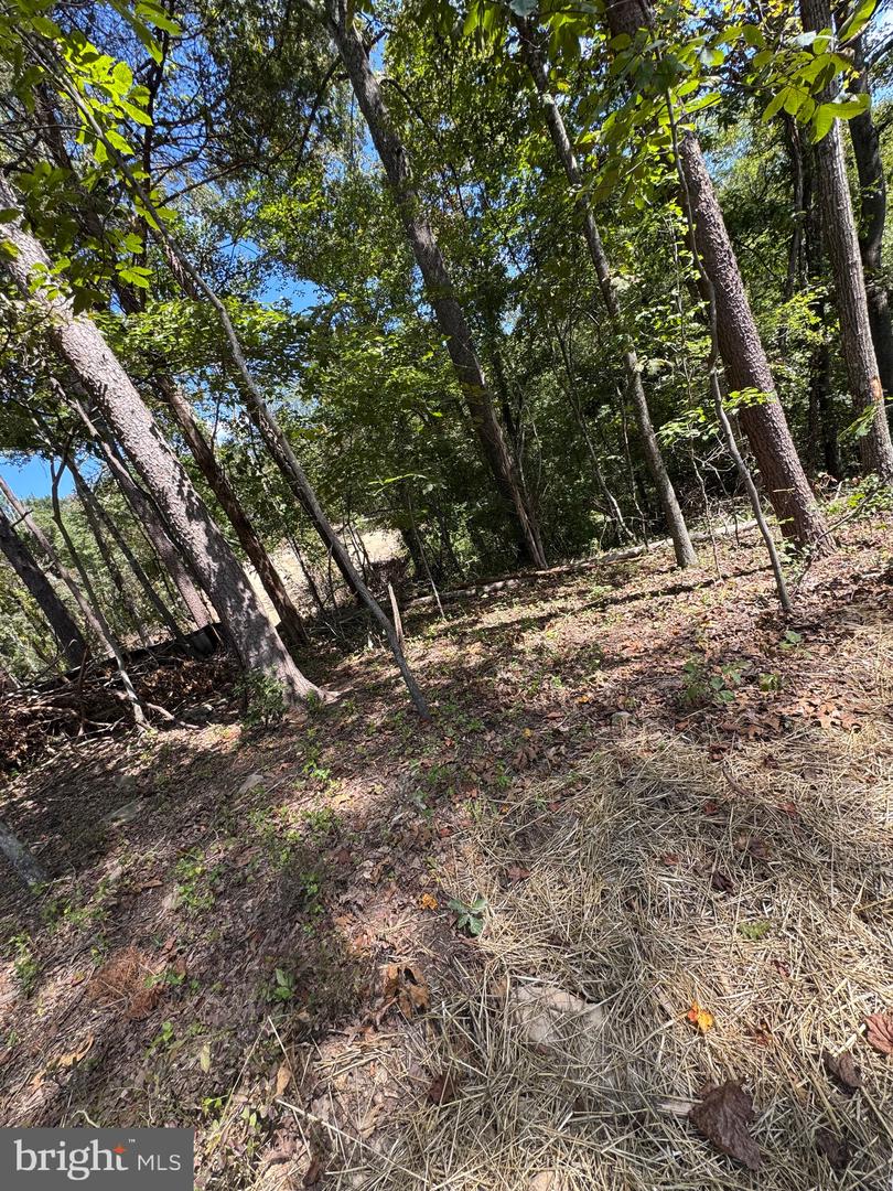 VACANT LAND CABIN BRANCH ROAD, MARSHALL, Virginia 20115, ,Land,For sale,VACANT LAND CABIN BRANCH ROAD,VAFQ2020062 MLS # VAFQ2020062