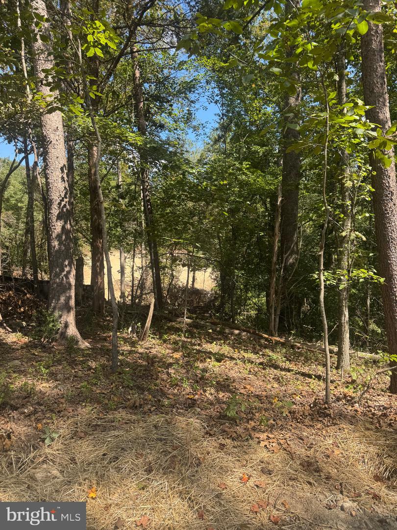 VACANT LAND CABIN BRANCH ROAD, MARSHALL, Virginia 20115, ,Land,For sale,VACANT LAND CABIN BRANCH ROAD,VAFQ2020062 MLS # VAFQ2020062