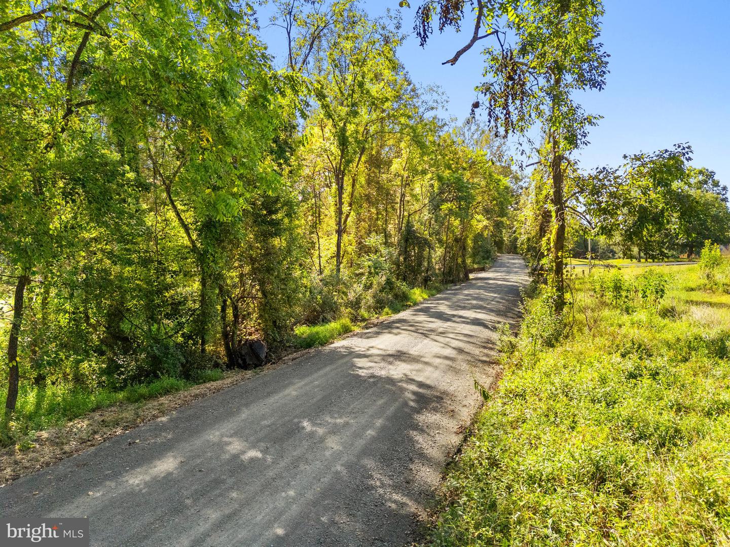 VACANT LAND CABIN BRANCH ROAD, MARSHALL, Virginia 20115, ,Land,For sale,VACANT LAND CABIN BRANCH ROAD,VAFQ2020062 MLS # VAFQ2020062