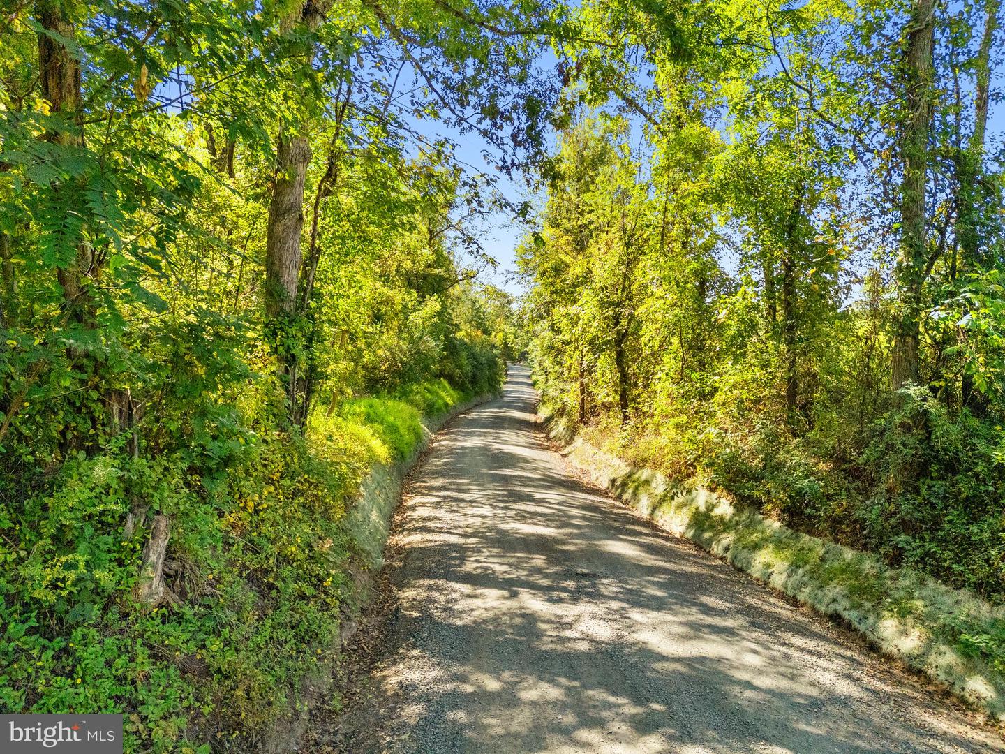 VACANT LAND CABIN BRANCH ROAD, MARSHALL, Virginia 20115, ,Land,For sale,VACANT LAND CABIN BRANCH ROAD,VAFQ2020062 MLS # VAFQ2020062