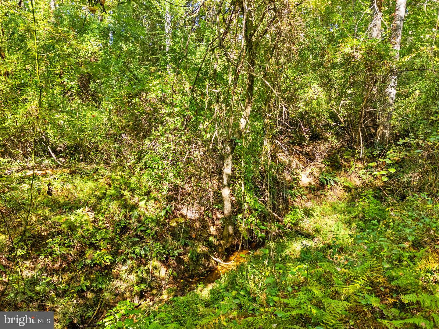 VACANT LAND CABIN BRANCH ROAD, MARSHALL, Virginia 20115, ,Land,For sale,VACANT LAND CABIN BRANCH ROAD,VAFQ2020062 MLS # VAFQ2020062