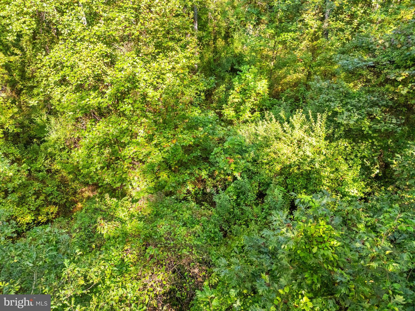 VACANT LAND CABIN BRANCH ROAD, MARSHALL, Virginia 20115, ,Land,For sale,VACANT LAND CABIN BRANCH ROAD,VAFQ2020062 MLS # VAFQ2020062