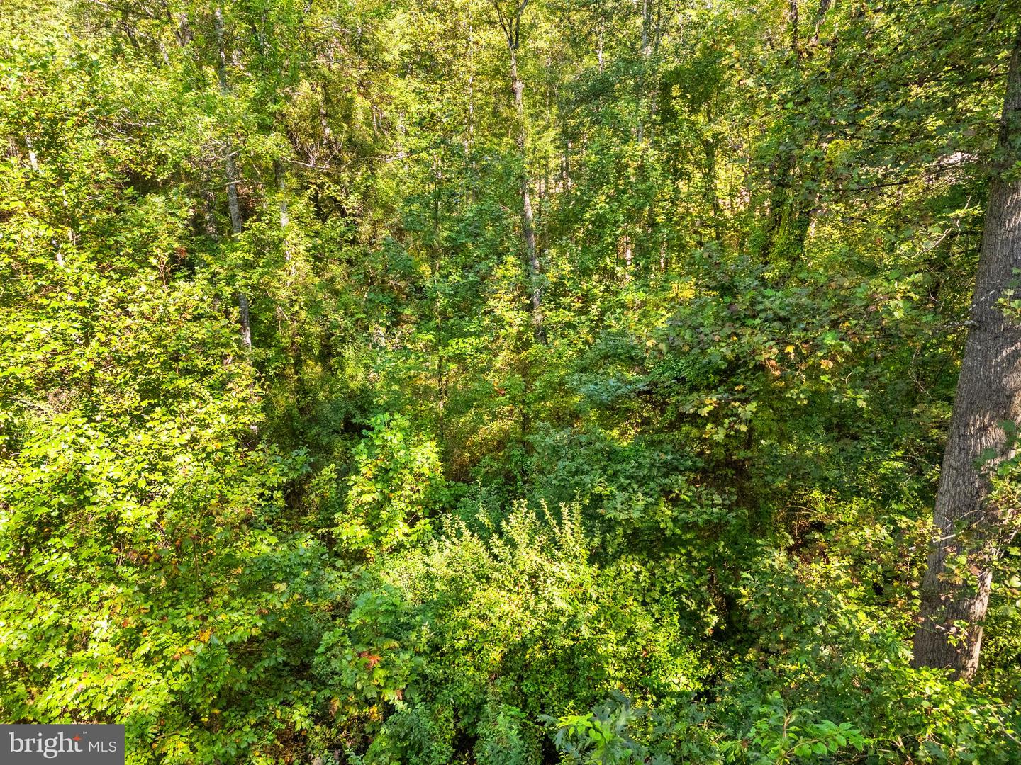 VACANT LAND CABIN BRANCH ROAD, MARSHALL, Virginia 20115, ,Land,For sale,VACANT LAND CABIN BRANCH ROAD,VAFQ2020062 MLS # VAFQ2020062