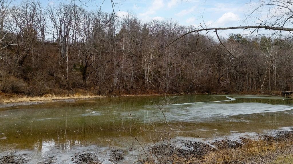 339 BUFFALO BRANCH LN, SWOOPE, Virginia 24479, 4 Bedrooms Bedrooms, ,1 BathroomBathrooms,Residential,339 BUFFALO BRANCH LN,671952 MLS # 671952