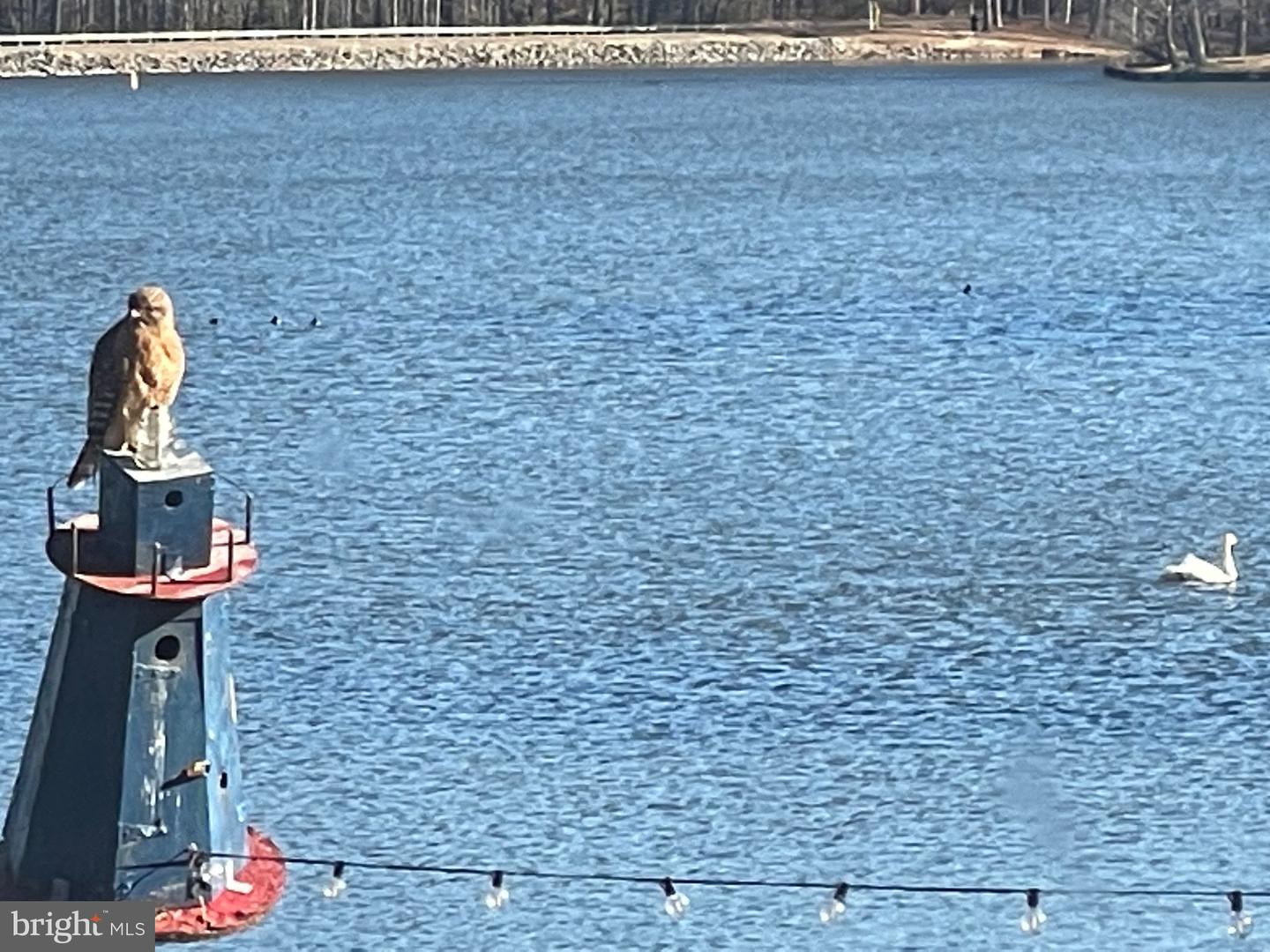 373 LAND OR DR, RUTHER GLEN, Virginia 22546, 4 Bedrooms Bedrooms, ,2 BathroomsBathrooms,Residential,For sale,373 LAND OR DR,VACV2008760 MLS # VACV2008760 373 LAND OR DR, RUTHER GLEN, Virginia 22546, 4 Bedrooms Bedrooms, ,2 BathroomsBathrooms,Residential,For sale,373 LAND OR DR,VACV2008760 MLS # VACV2008760