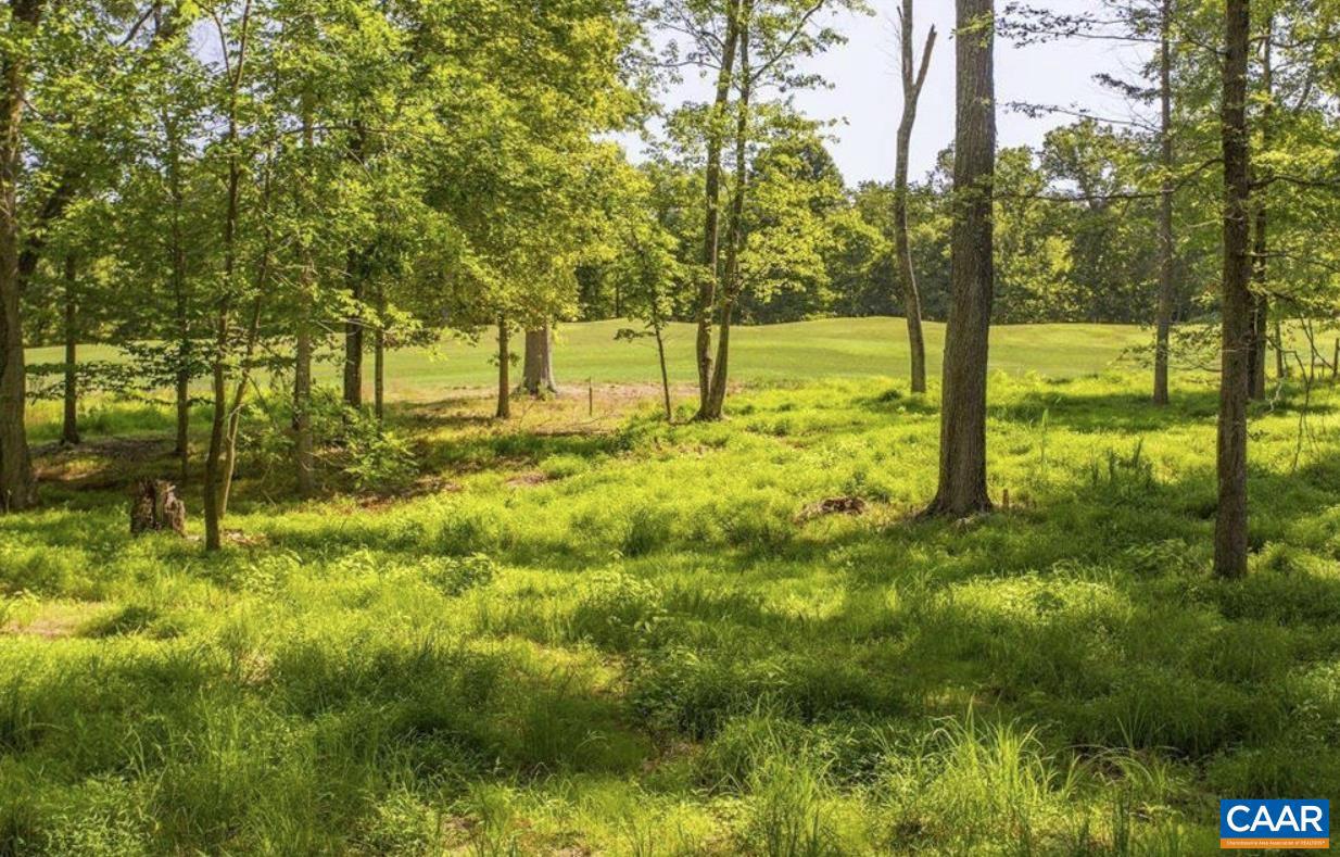 LOT 4 CLUB DR, KESWICK, Virginia 22947, ,Land,For sale,LOT 4 CLUB DR,667067 MLS # 667067