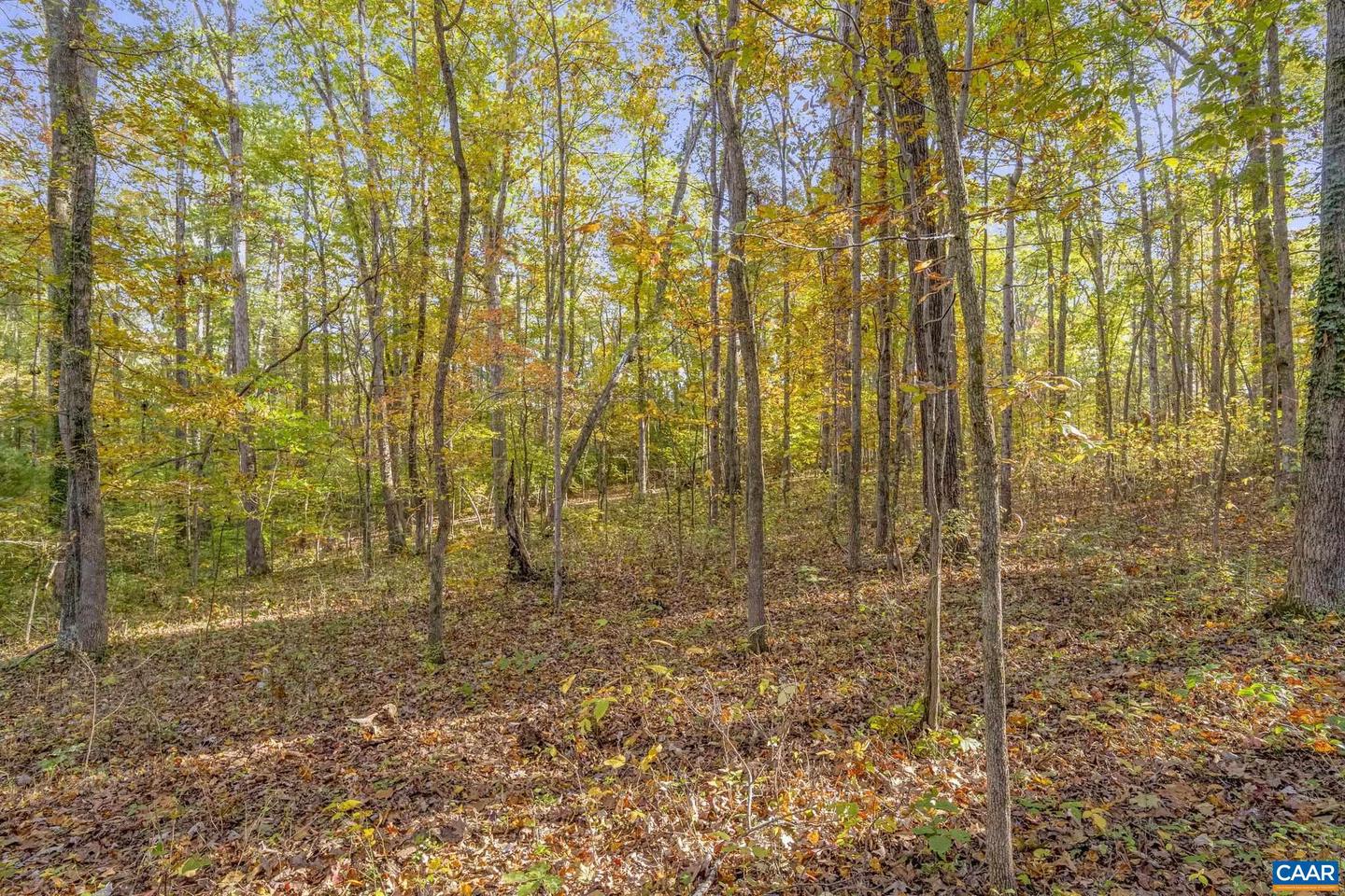 5515 - L GORDONSVILLE RD, KESWICK, Virginia 22947, ,Land,For sale,5515 - L GORDONSVILLE RD,670940 MLS # 670940 5515 - L GORDONSVILLE RD, KESWICK, Virginia 22947, ,Land,For sale,5515 - L GORDONSVILLE RD,670940 MLS # 670940
