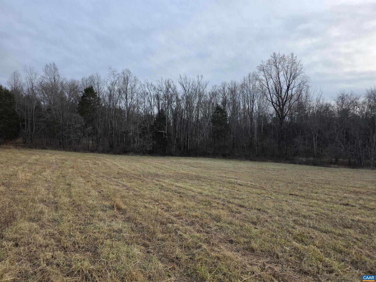 LOT 4 EVELYNS WAY, STANARDSVILLE, Virginia 22973, ,Land,For sale,LOT 4 EVELYNS WAY,672262 MLS # 672262