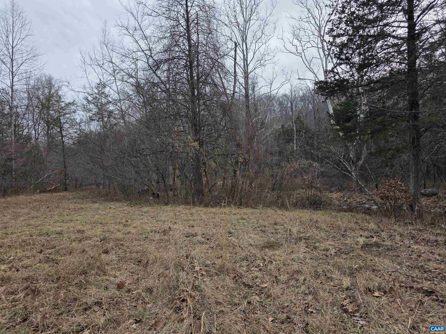 LOT 6 EVELYNS WAY, STANARDSVILLE, Virginia 22973, ,Land,For sale,LOT 6 EVELYNS WAY,672264 MLS # 672264