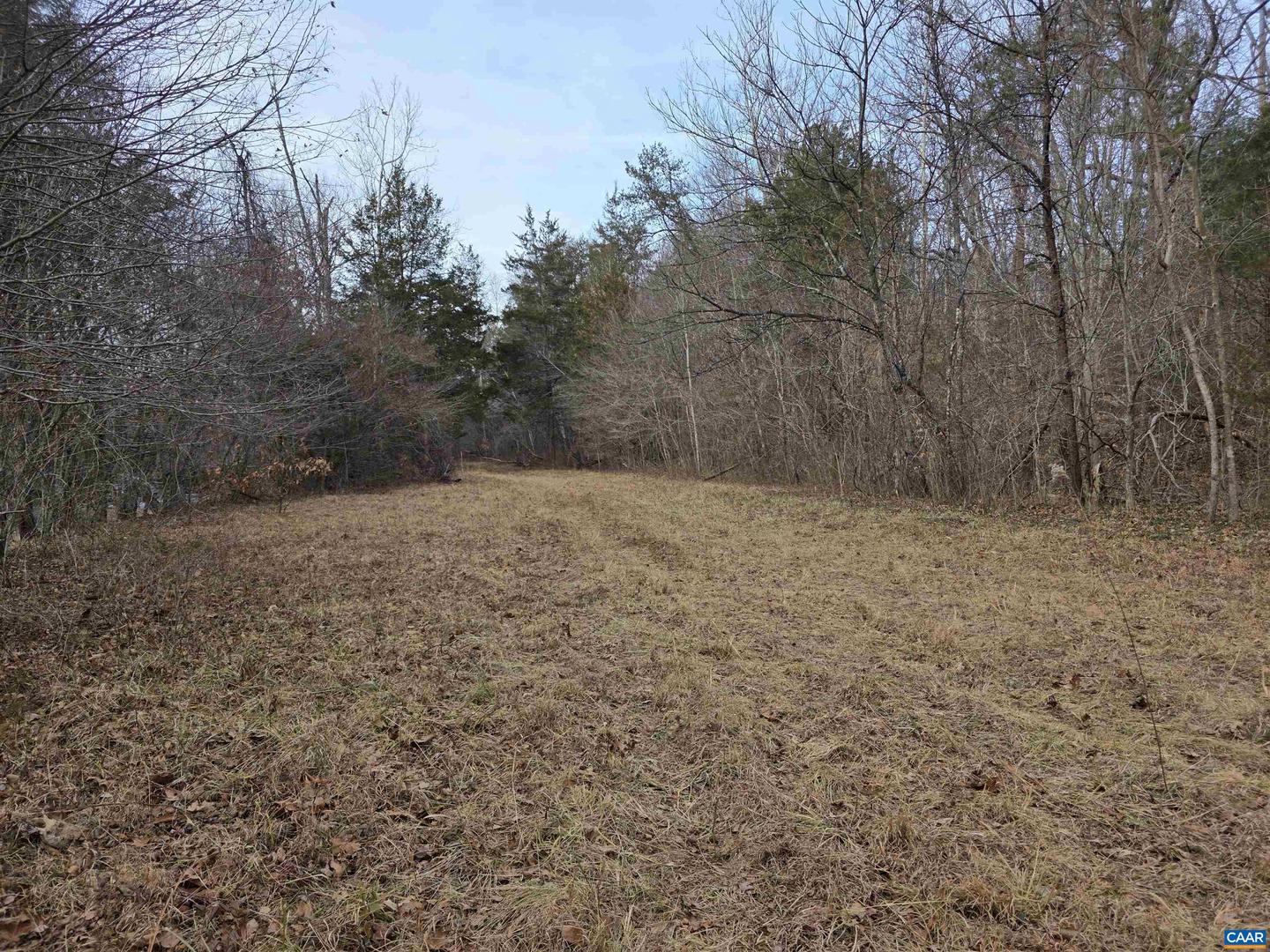 LOT 6 EVELYNS WAY, STANARDSVILLE, Virginia 22973, ,Land,For sale,LOT 6 EVELYNS WAY,672264 MLS # 672264