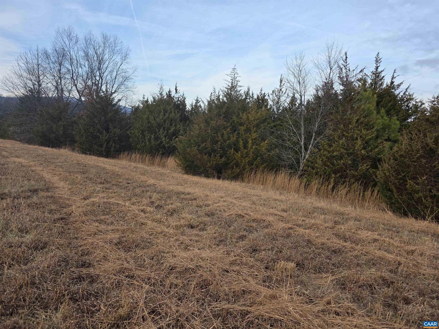 LOT 8 EVELYNS WAY, STANARDSVILLE, Virginia 22973, ,Land,For sale,LOT 8 EVELYNS WAY,672266 MLS # 672266 LOT 8 EVELYNS WAY, STANARDSVILLE, Virginia 22973, ,Land,For sale,LOT 8 EVELYNS WAY,672266 MLS # 672266