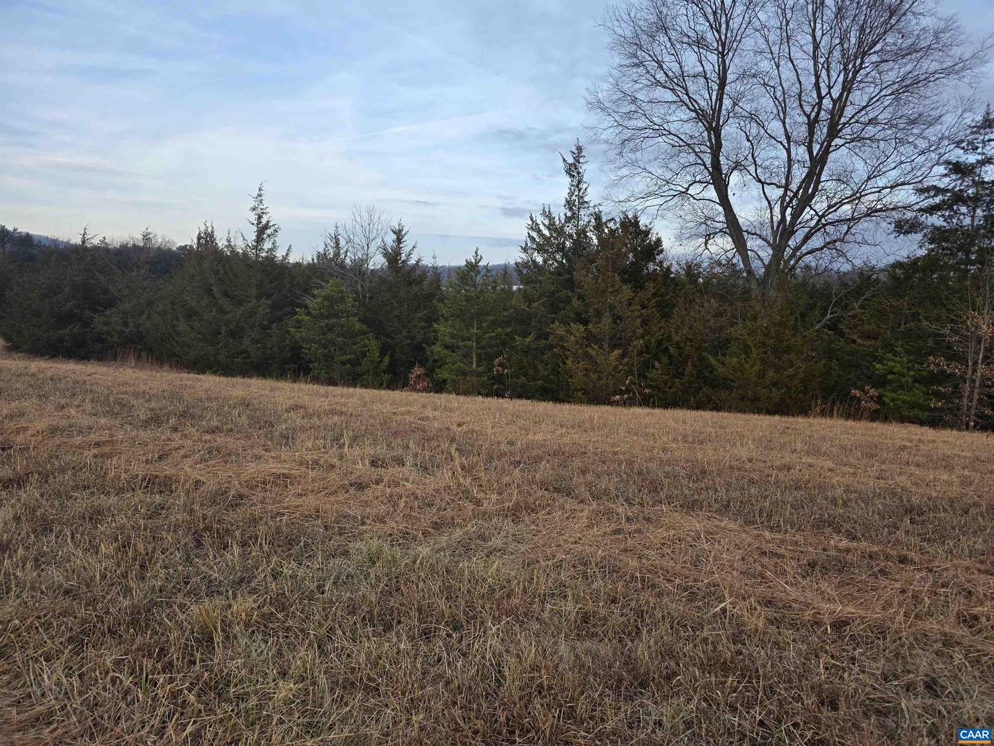 LOT 9 EVELYNS WAY, STANARDSVILLE, Virginia 22973, ,Land,For sale,LOT 9 EVELYNS WAY,672267 MLS # 672267