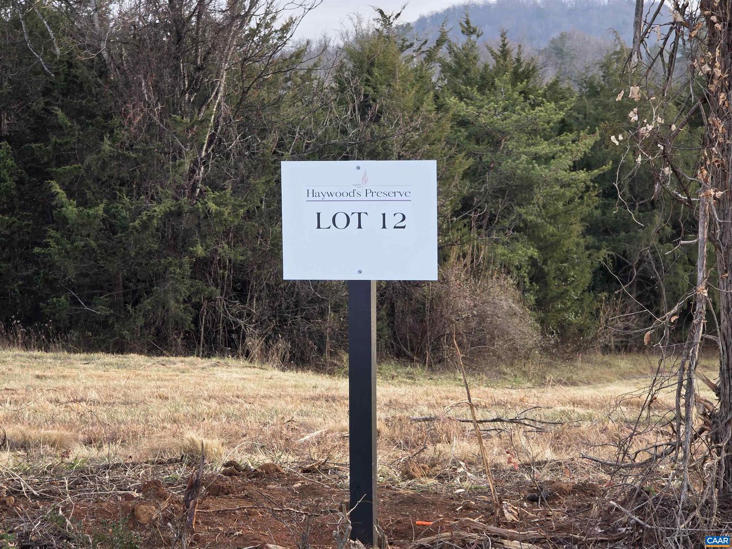 LOT 12 PEA RIDGE RD, STANARDSVILLE, Virginia 22973, ,Land,For sale,LOT 12 PEA RIDGE RD,672270 MLS # 672270