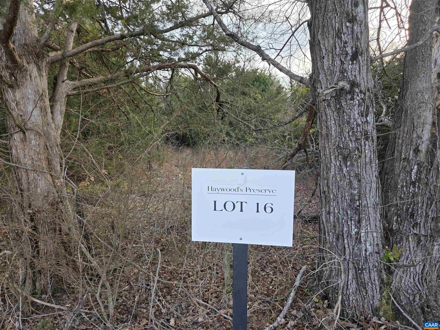 LOT 16 PEA RIDGE RD, STANARDSVILLE, Virginia 22973, ,Land,For sale,LOT 16 PEA RIDGE RD,672273 MLS # 672273