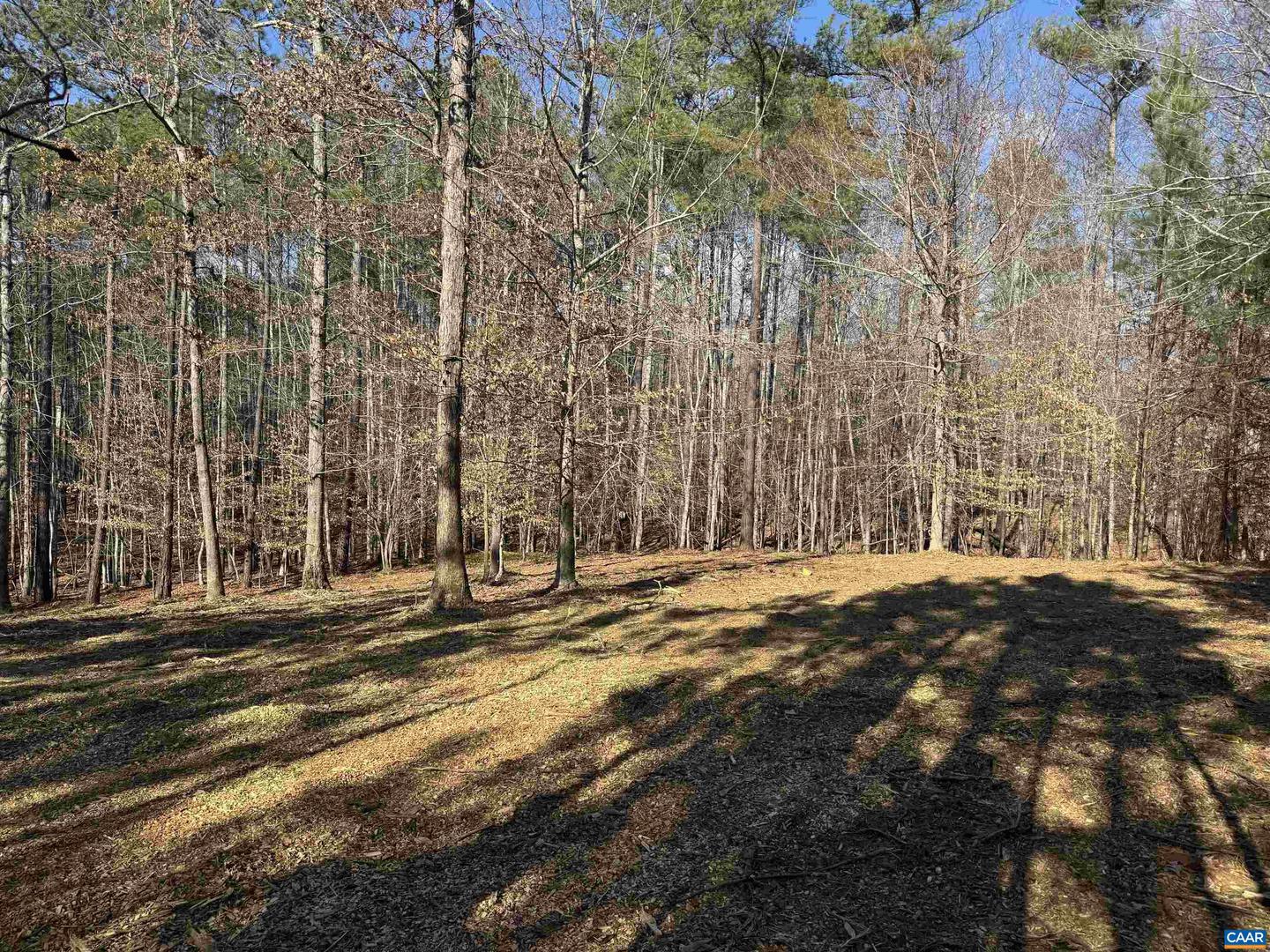 3860-1 GILBERT STATION RD #LOT 1, BARBOURSVILLE, Virginia 22923, ,Land,For sale,3860-1 GILBERT STATION RD #LOT 1,672277 MLS # 672277