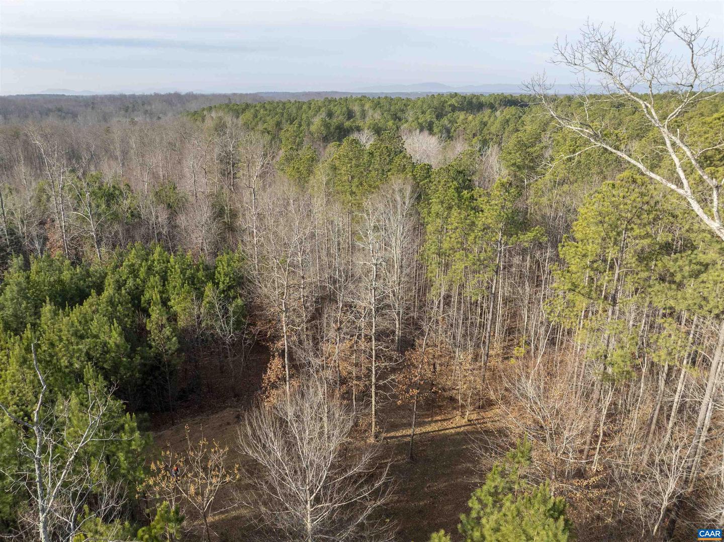 3860-1 GILBERT STATION RD #LOT 1, BARBOURSVILLE, Virginia 22923, ,Land,For sale,3860-1 GILBERT STATION RD #LOT 1,672277 MLS # 672277