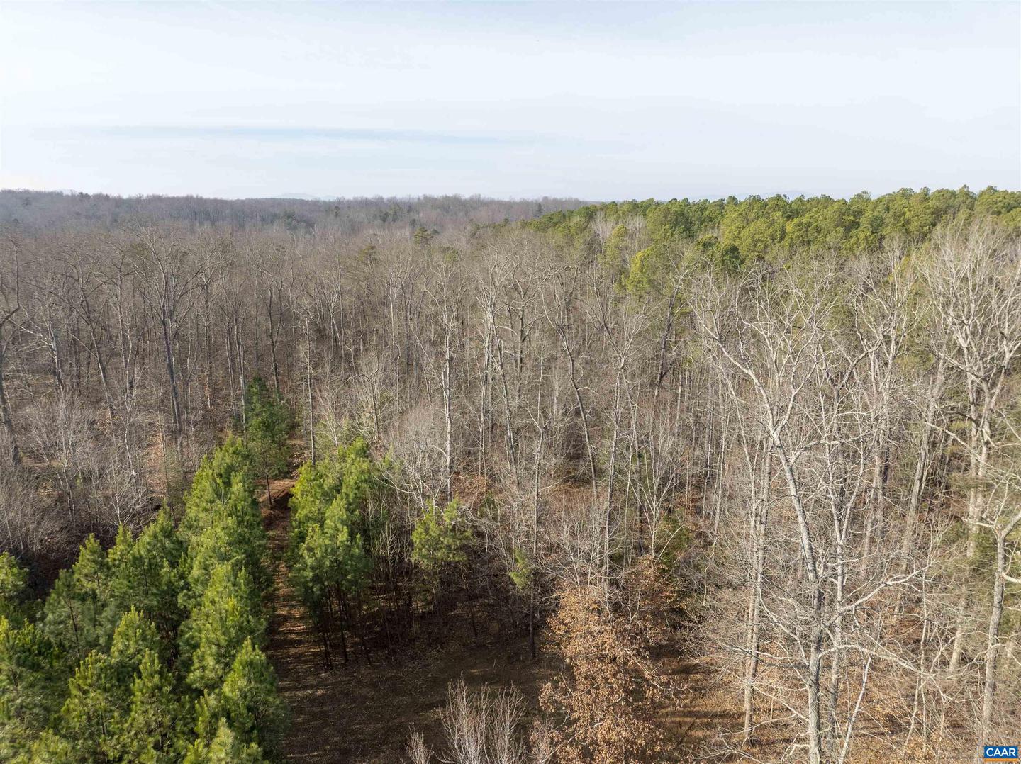 3860-1 GILBERT STATION RD #LOT 1, BARBOURSVILLE, Virginia 22923, ,Land,For sale,3860-1 GILBERT STATION RD #LOT 1,672277 MLS # 672277