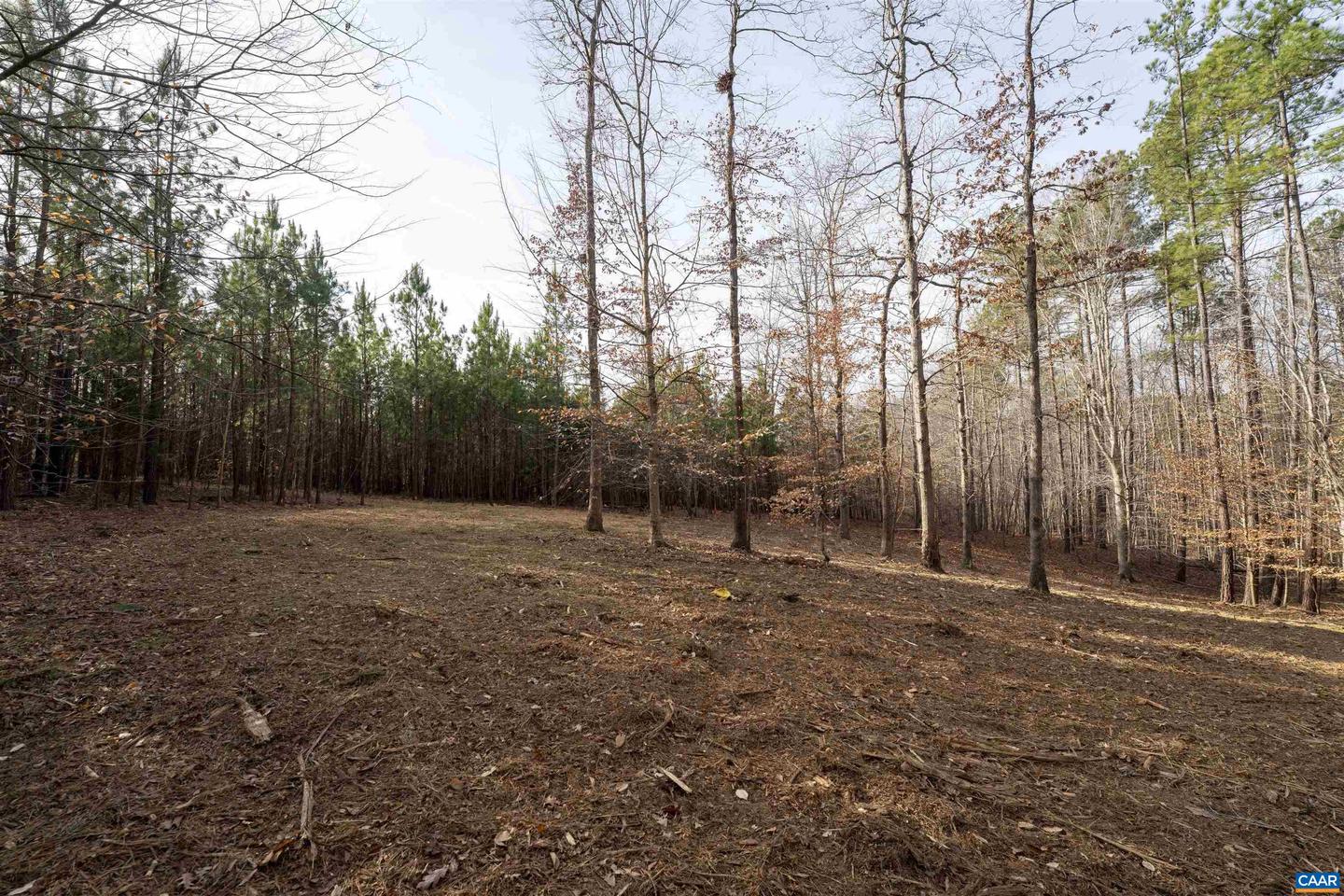3860-2 GILBERT STATION RD #LOT 2, BARBOURSVILLE, Virginia 22923, ,Land,For sale,3860-2 GILBERT STATION RD #LOT 2,672278 MLS # 672278 3860-2 GILBERT STATION RD #LOT 2, BARBOURSVILLE, Virginia 22923, ,Land,For sale,3860-2 GILBERT STATION RD #LOT 2,672278 MLS # 672278