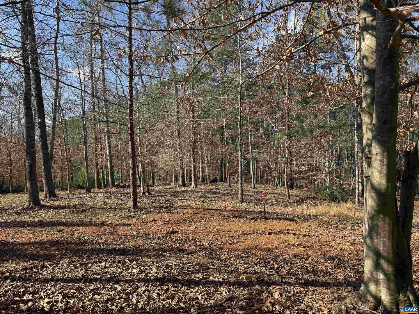 3860-2 GILBERT STATION RD #LOT 2, BARBOURSVILLE, Virginia 22923, ,Land,For sale,3860-2 GILBERT STATION RD #LOT 2,672278 MLS # 672278 3860-2 GILBERT STATION RD #LOT 2, BARBOURSVILLE, Virginia 22923, ,Land,For sale,3860-2 GILBERT STATION RD #LOT 2,672278 MLS # 672278
