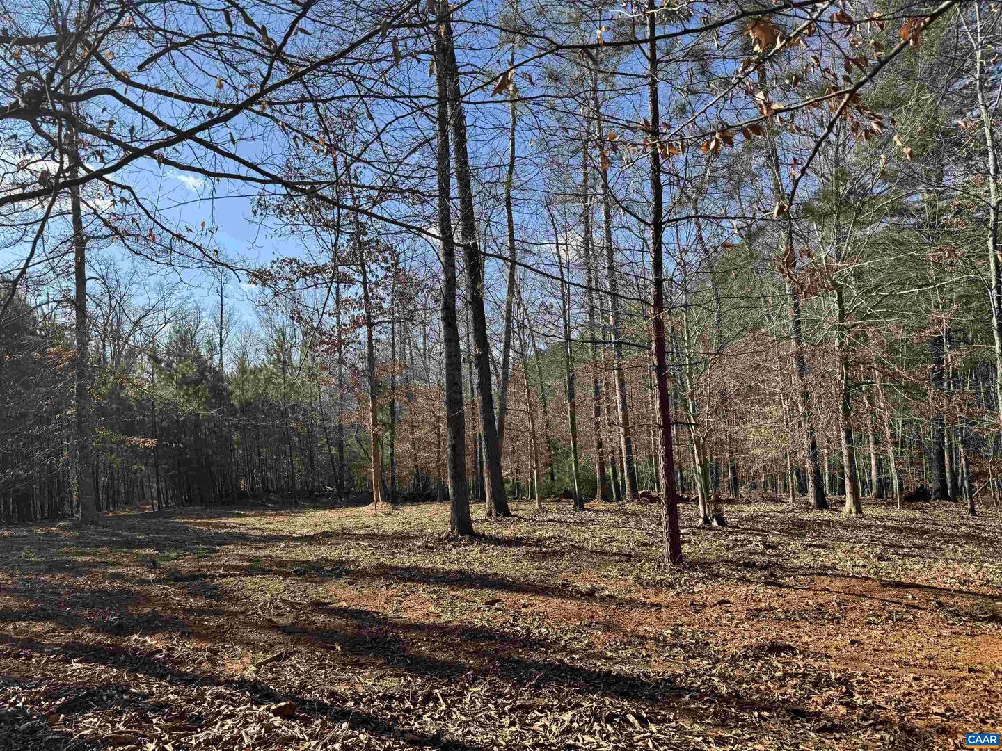 3860-2 GILBERT STATION RD #LOT 2, BARBOURSVILLE, Virginia 22923, ,Land,For sale,3860-2 GILBERT STATION RD #LOT 2,672278 MLS # 672278 3860-2 GILBERT STATION RD #LOT 2, BARBOURSVILLE, Virginia 22923, ,Land,For sale,3860-2 GILBERT STATION RD #LOT 2,672278 MLS # 672278