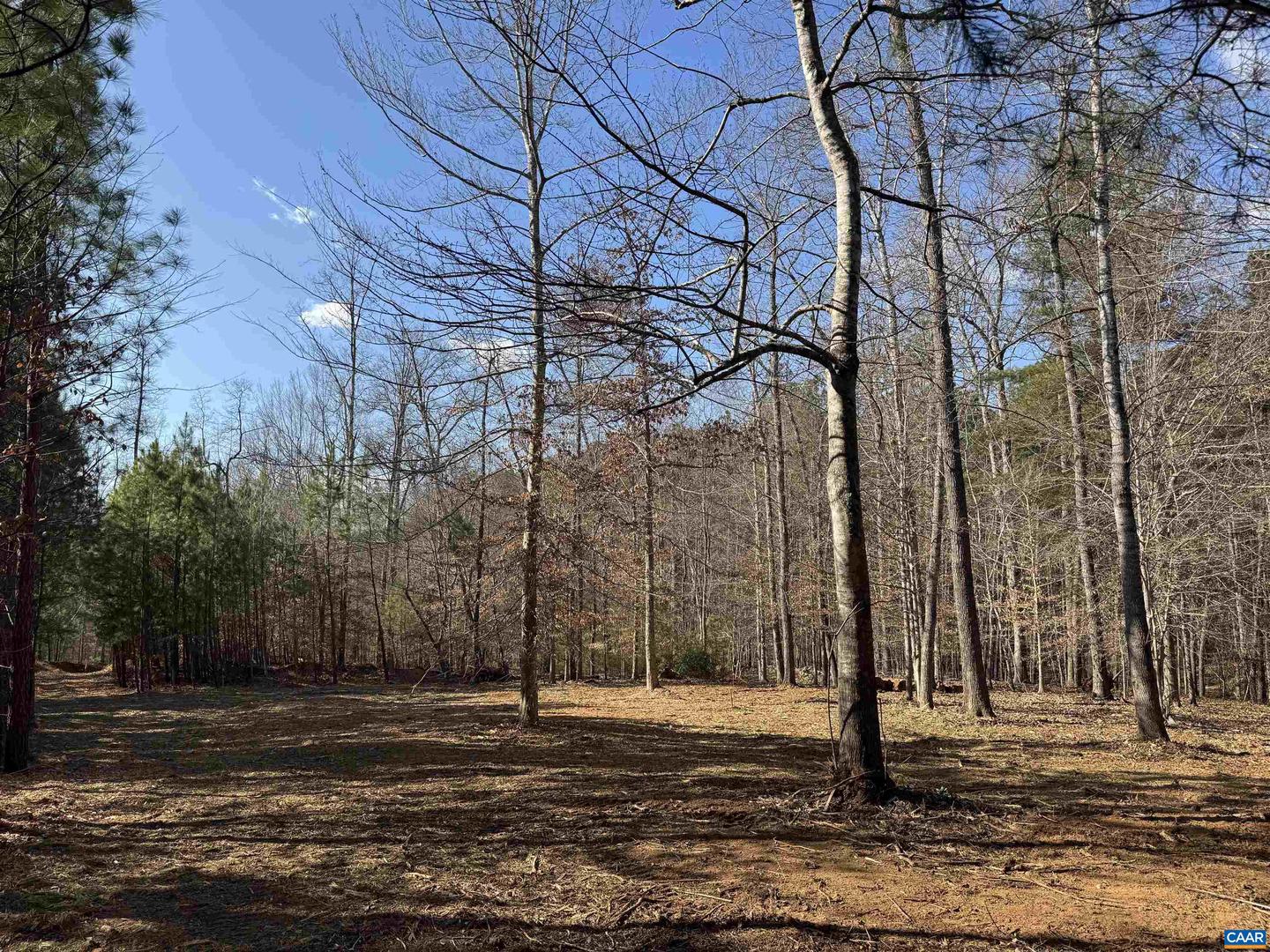 3860-2 GILBERT STATION RD #LOT 2, BARBOURSVILLE, Virginia 22923, ,Land,For sale,3860-2 GILBERT STATION RD #LOT 2,672278 MLS # 672278 3860-2 GILBERT STATION RD #LOT 2, BARBOURSVILLE, Virginia 22923, ,Land,For sale,3860-2 GILBERT STATION RD #LOT 2,672278 MLS # 672278
