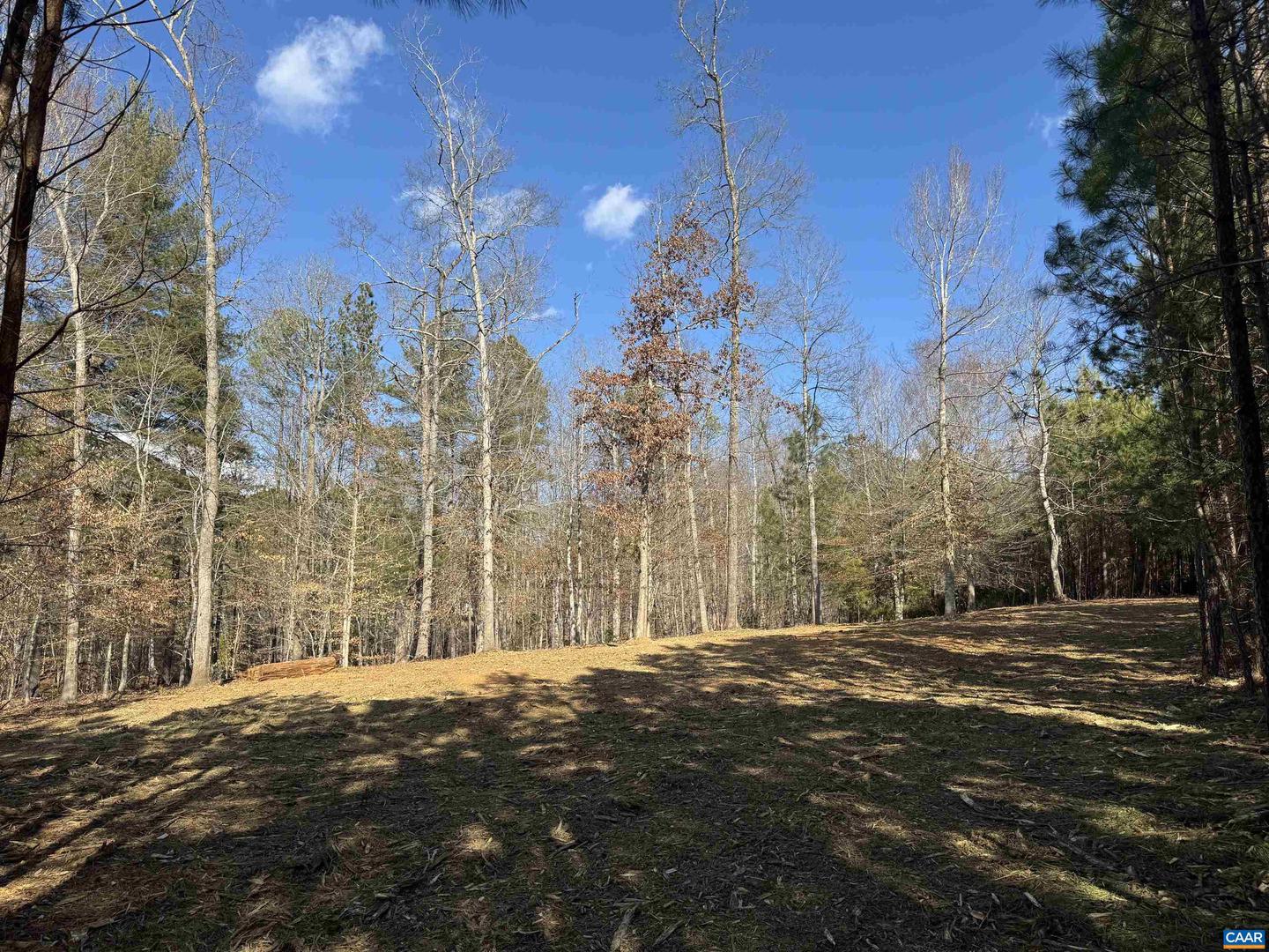 3860-2 GILBERT STATION RD #LOT 2, BARBOURSVILLE, Virginia 22923, ,Land,For sale,3860-2 GILBERT STATION RD #LOT 2,672278 MLS # 672278 3860-2 GILBERT STATION RD #LOT 2, BARBOURSVILLE, Virginia 22923, ,Land,For sale,3860-2 GILBERT STATION RD #LOT 2,672278 MLS # 672278