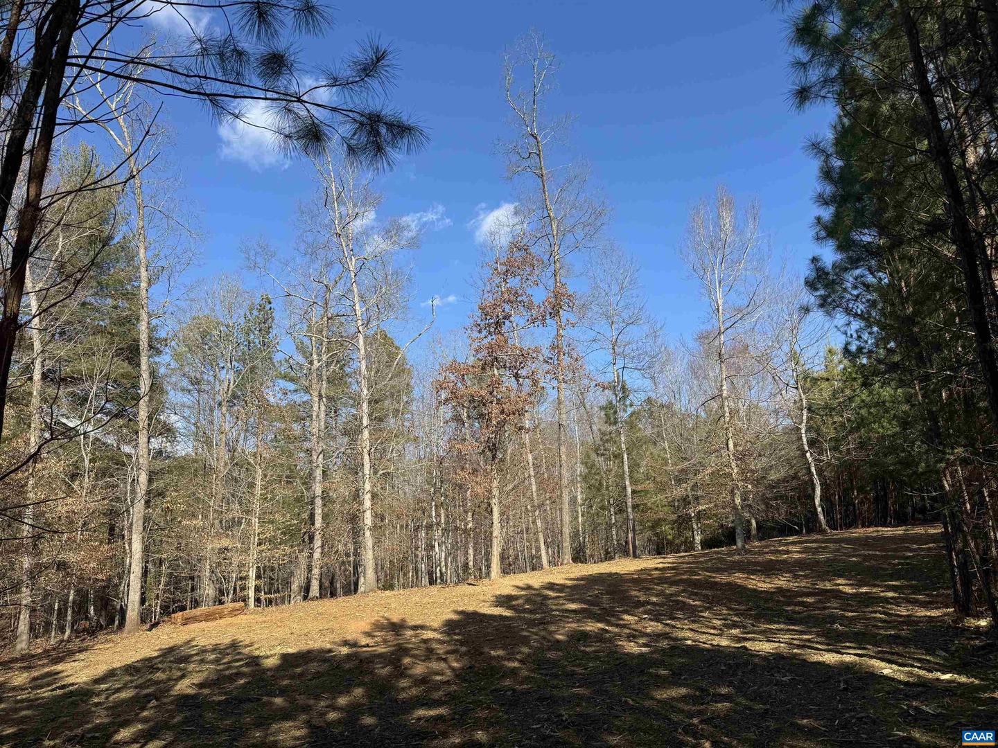 3860-2 GILBERT STATION RD #LOT 2, BARBOURSVILLE, Virginia 22923, ,Land,For sale,3860-2 GILBERT STATION RD #LOT 2,672278 MLS # 672278 3860-2 GILBERT STATION RD #LOT 2, BARBOURSVILLE, Virginia 22923, ,Land,For sale,3860-2 GILBERT STATION RD #LOT 2,672278 MLS # 672278