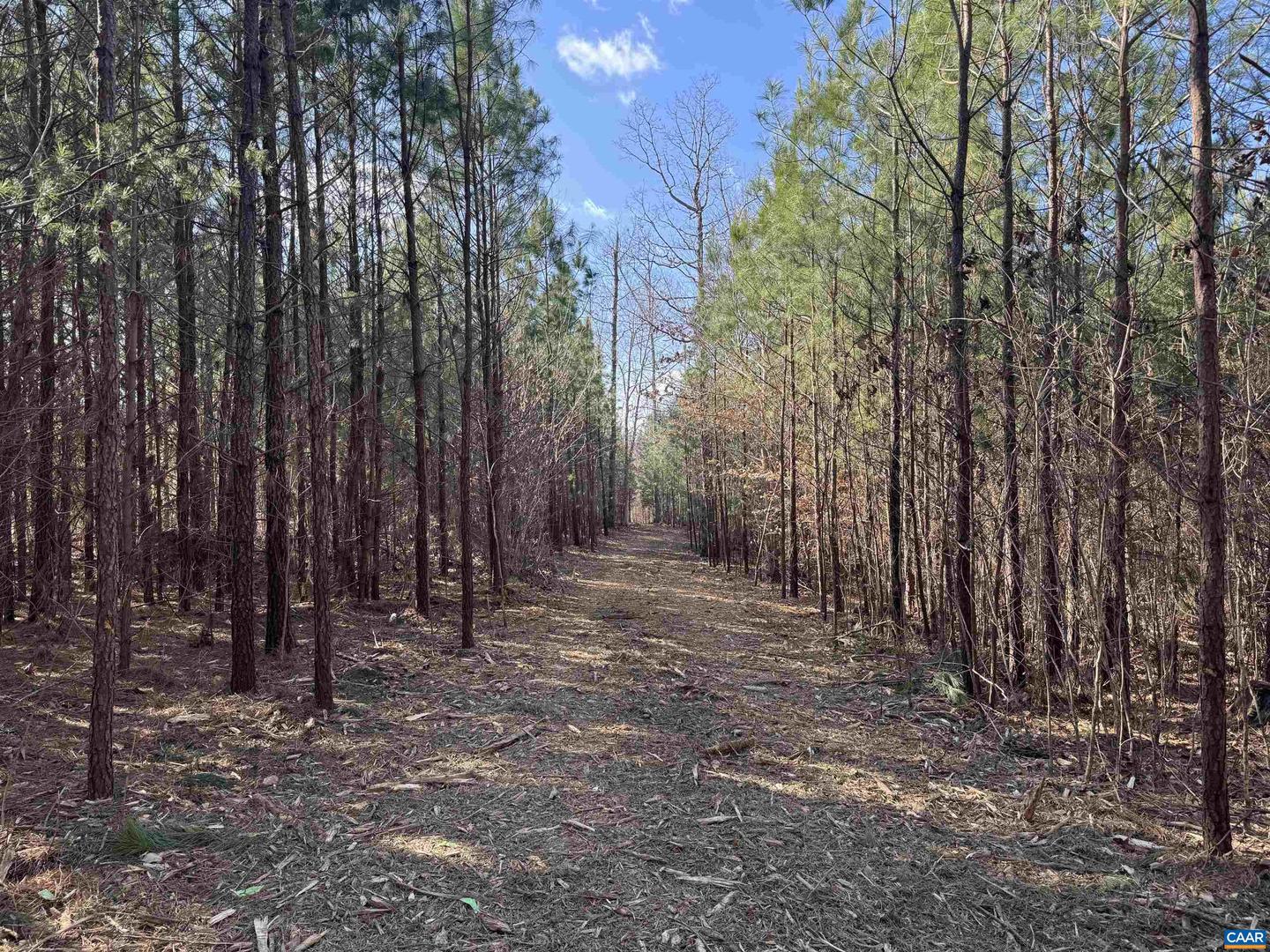 3860 GILBERT STATION RD, BARBOURSVILLE, Virginia 22923, ,Farm,For sale,3860 GILBERT STATION RD,672279 MLS # 672279