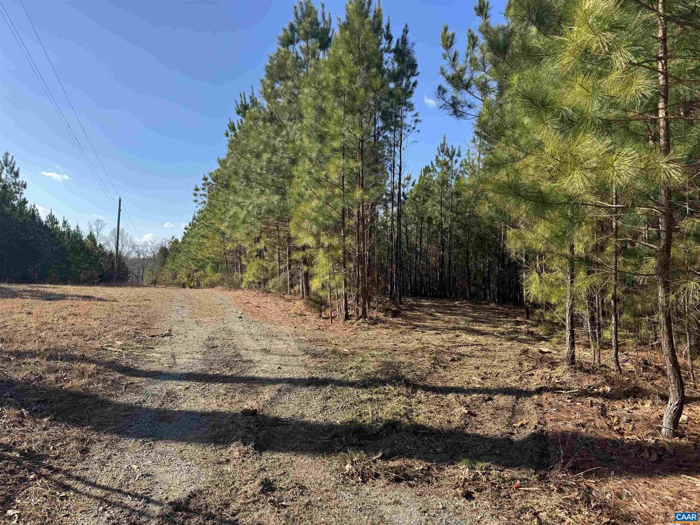 3860 GILBERT STATION RD, BARBOURSVILLE, Virginia 22923, ,Farm,For sale,3860 GILBERT STATION RD,672279 MLS # 672279