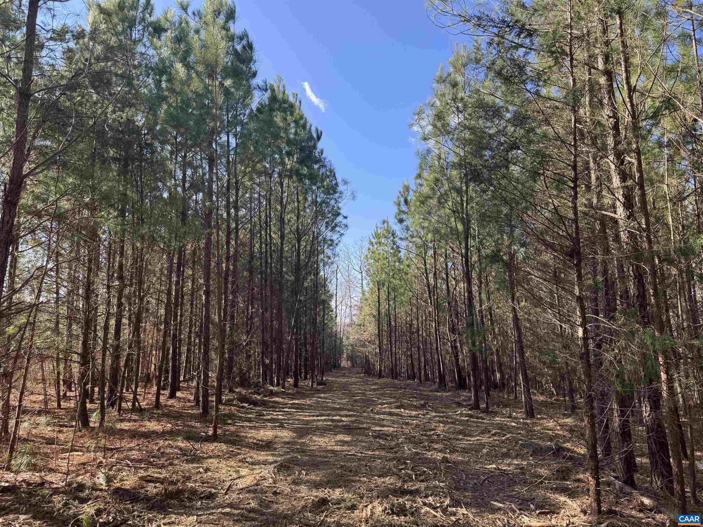 3860 GILBERT STATION RD, BARBOURSVILLE, Virginia 22923, ,Farm,For sale,3860 GILBERT STATION RD,672279 MLS # 672279