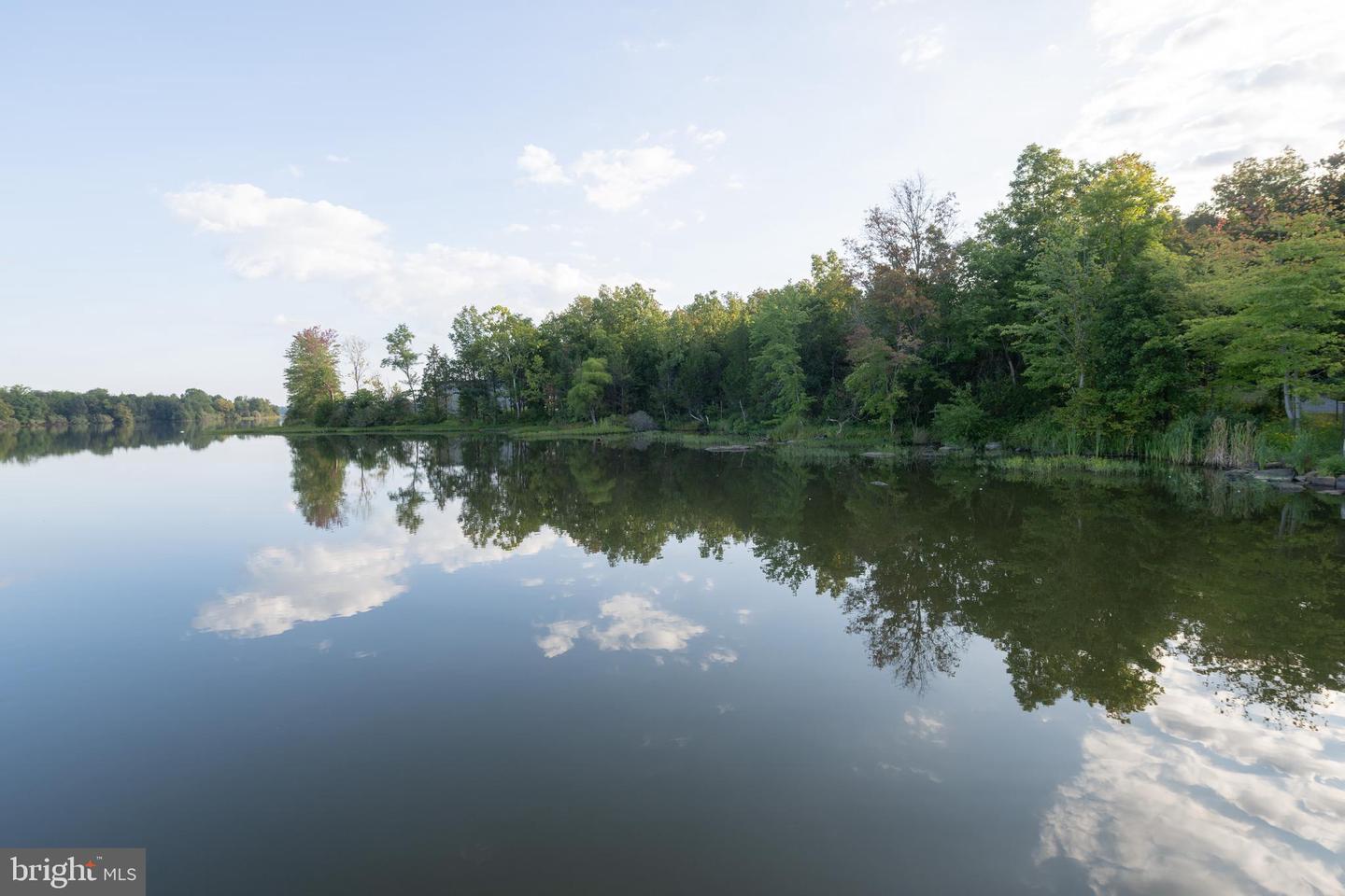 42662 GULICKS LANDING CT, ASHBURN, Virginia 20148, 5 Bedrooms Bedrooms, ,4 BathroomsBathrooms,Residential,For sale,42662 GULICKS LANDING CT,VALO2111984 MLS # VALO2111984 42662 GULICKS LANDING CT, ASHBURN, Virginia 20148, 5 Bedrooms Bedrooms, ,4 BathroomsBathrooms,Residential,For sale,42662 GULICKS LANDING CT,VALO2111984 MLS # VALO2111984