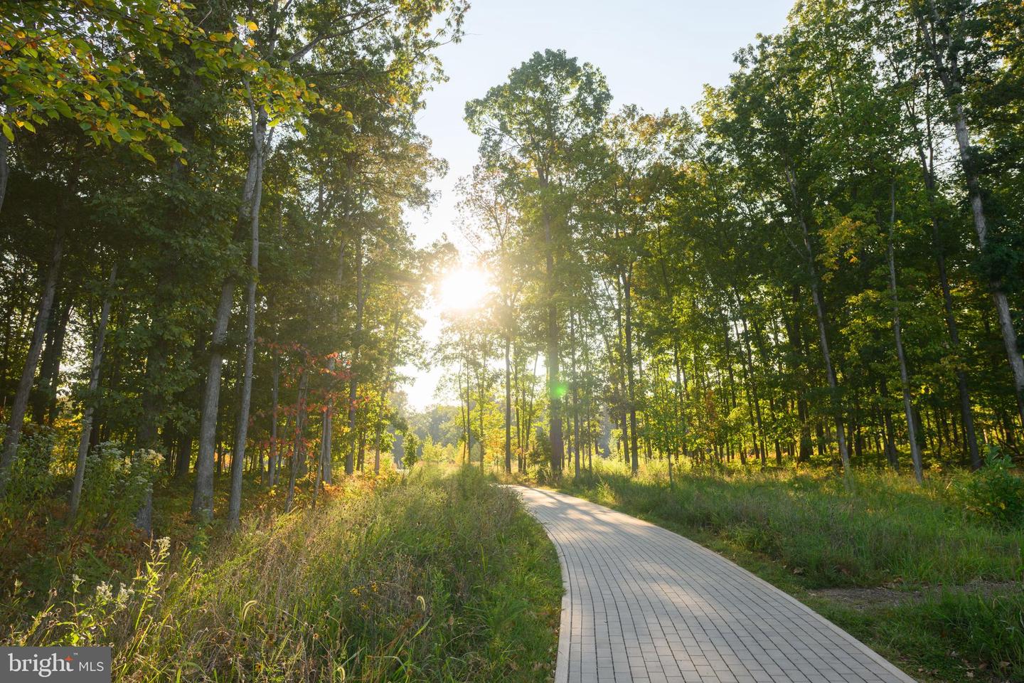 42662 GULICKS LANDING CT, ASHBURN, Virginia 20148, 5 Bedrooms Bedrooms, ,4 BathroomsBathrooms,Residential,For sale,42662 GULICKS LANDING CT,VALO2111984 MLS # VALO2111984 42662 GULICKS LANDING CT, ASHBURN, Virginia 20148, 5 Bedrooms Bedrooms, ,4 BathroomsBathrooms,Residential,For sale,42662 GULICKS LANDING CT,VALO2111984 MLS # VALO2111984