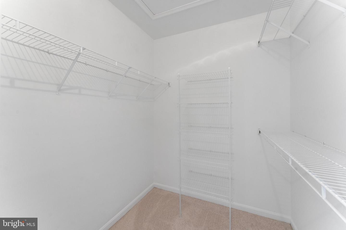 824 PERSIMMON PL, CULPEPER, Virginia 22701, 3 Bedrooms Bedrooms, ,3 BathroomsBathrooms,Residential,For sale,824 PERSIMMON PL,VACU2012262 MLS # VACU2012262