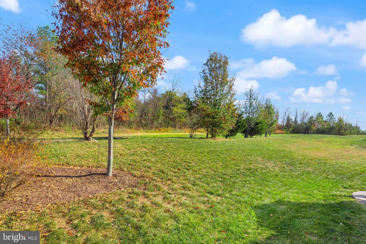 20950 GOOSE PRESERVE DR, ASHBURN, Virginia 20148, 4 Bedrooms Bedrooms, ,4 BathroomsBathrooms,Residential,For sale,20950 GOOSE PRESERVE DR,VALO2112634 MLS # VALO2112634