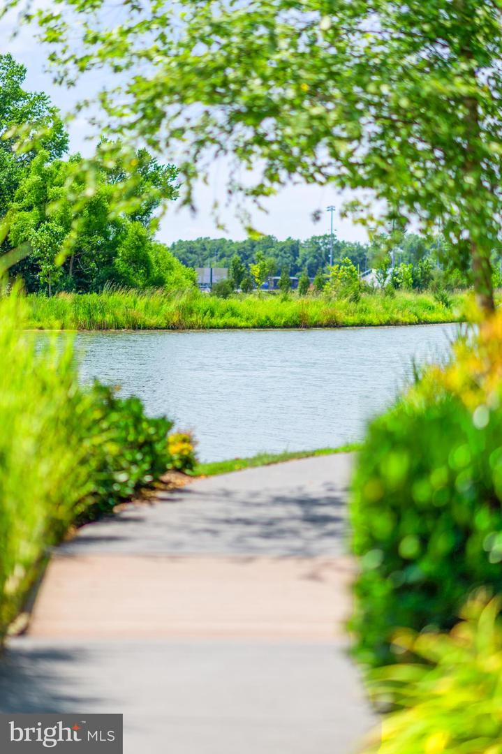 24974 FIRST HARVEST CT, ALDIE, Virginia 20105, 8 Bedrooms Bedrooms, ,5 BathroomsBathrooms,Residential,For sale,24974 FIRST HARVEST CT,VALO2112962 MLS # VALO2112962