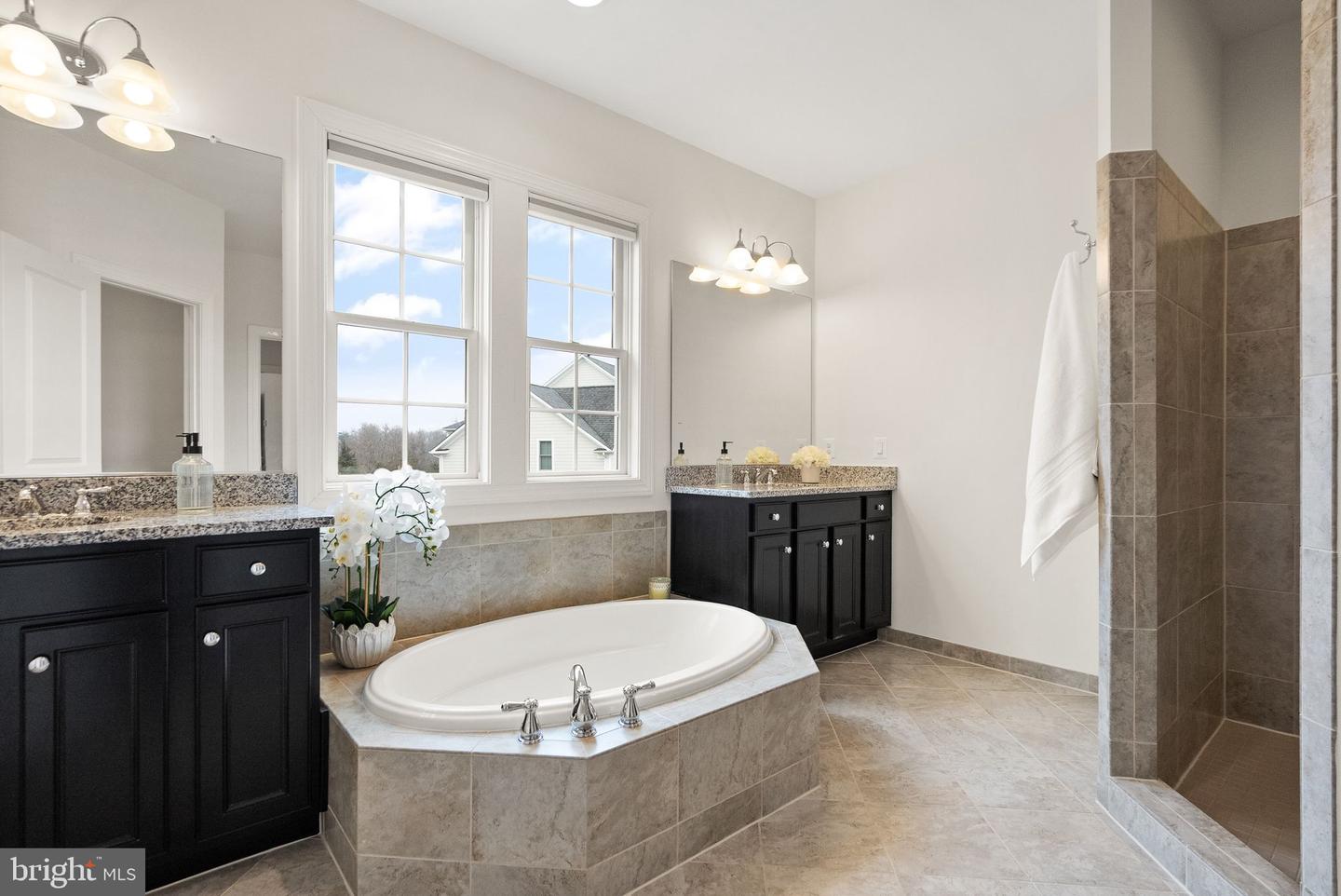 24974 FIRST HARVEST CT, ALDIE, Virginia 20105, 8 Bedrooms Bedrooms, ,5 BathroomsBathrooms,Residential,For sale,24974 FIRST HARVEST CT,VALO2112962 MLS # VALO2112962